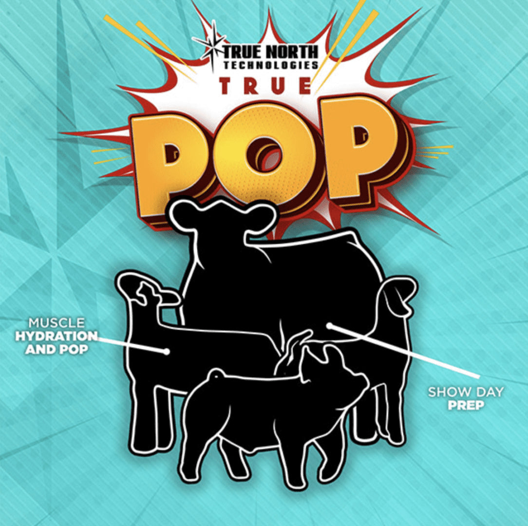 True Pop
