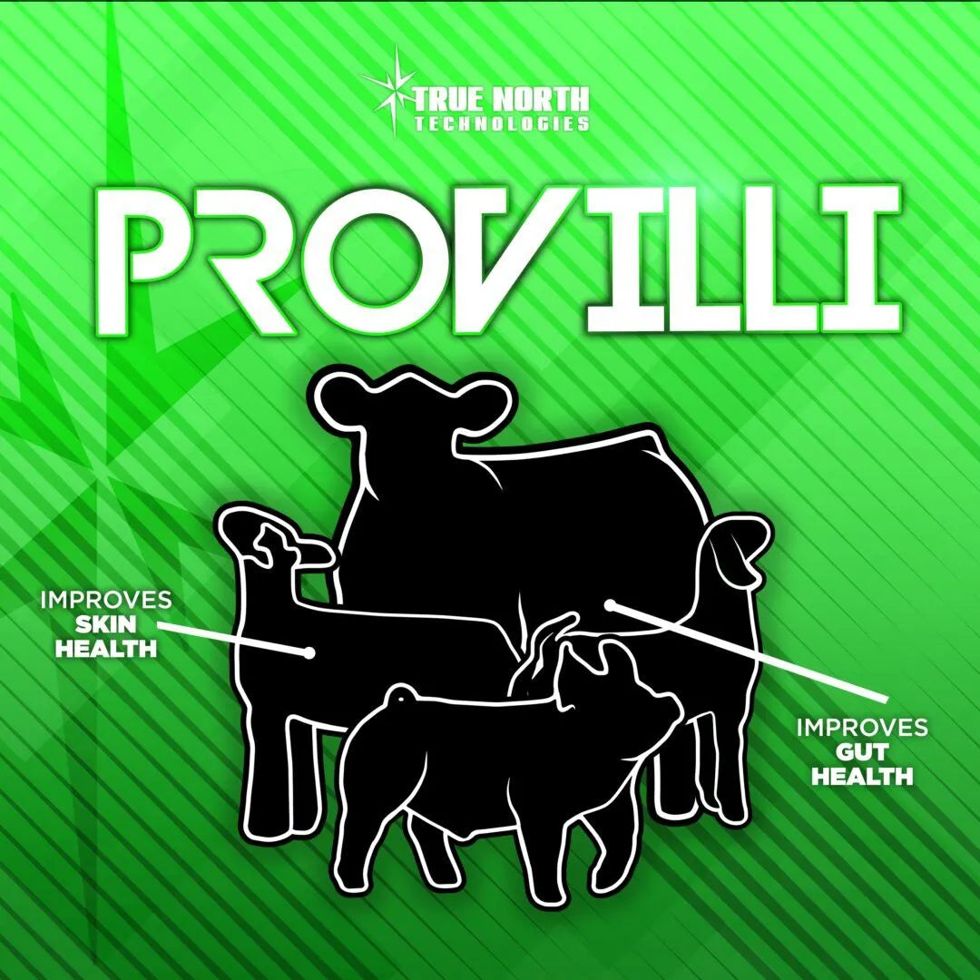 Provilli - 32oz Bottle