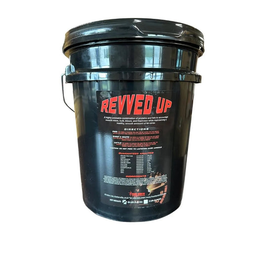 Revved Up