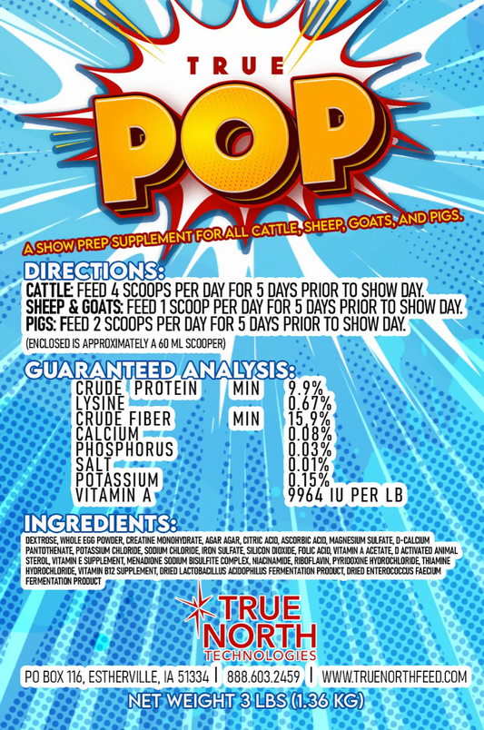 True Pop 2.0