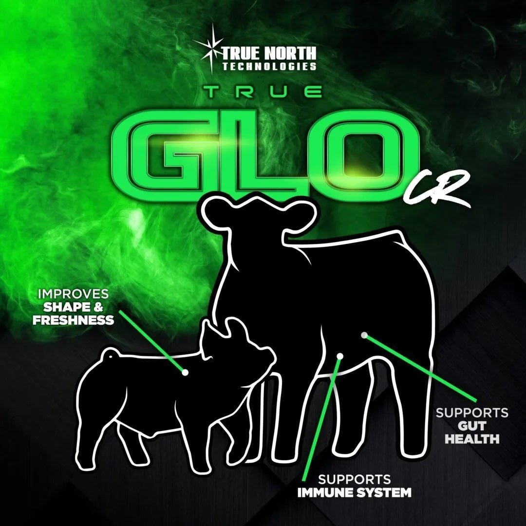 TrueGlo Cr