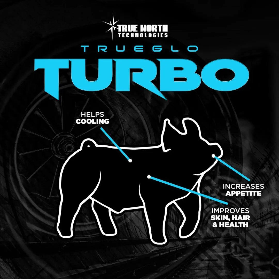 TrueGlo Turbo