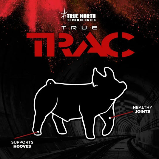 True Trac